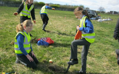 Tree Planting at Whitehills