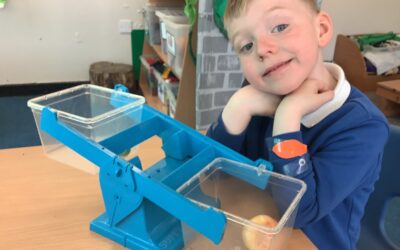 Investigating fruit and vegetables