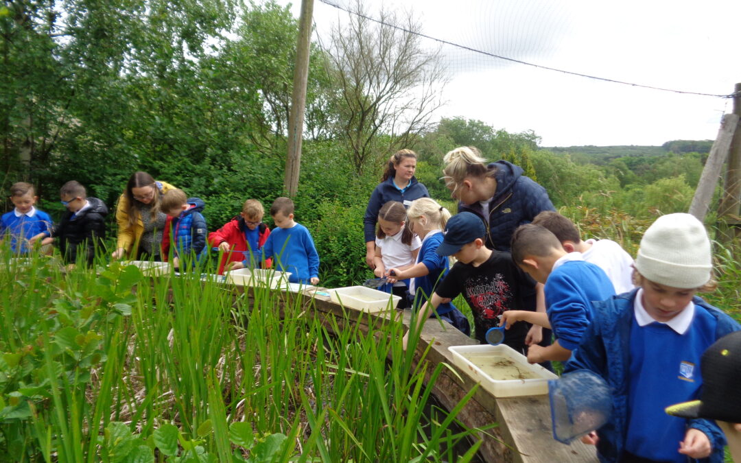 Nightingales go to Washington Wetlands