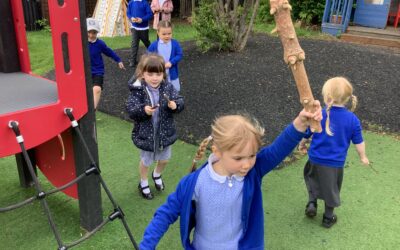 Not a Stick Continued…