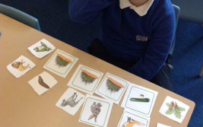 Owls look at different food chains
