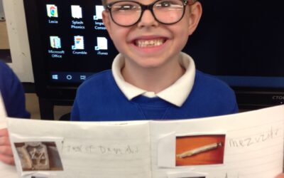 Owls look at different Jewish artefacts