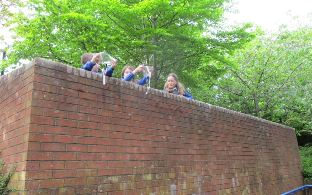 Investigating Air Resistance