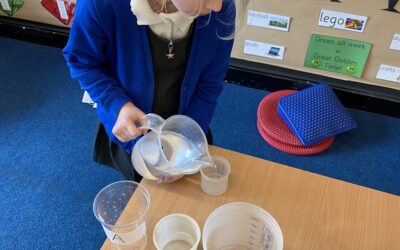 Measure! Measure! Measure in Owls