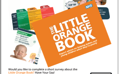 The Little Orange Book