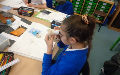 Investigating Materials in Nightingales