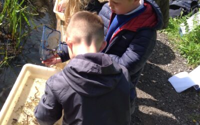 Owls take a visit to Washington Wetlands