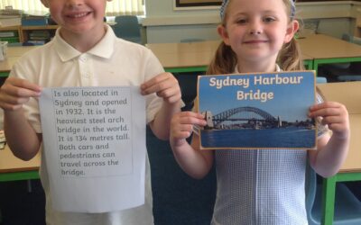 Owls learn about downunder