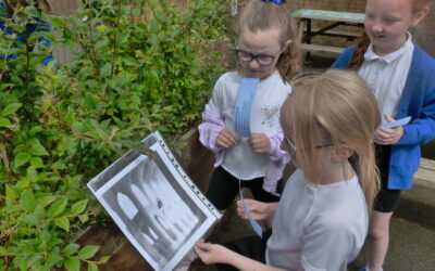 The Mystery of the Missing Writer in Bluebells