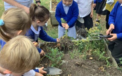 One Potato, Two Potato…