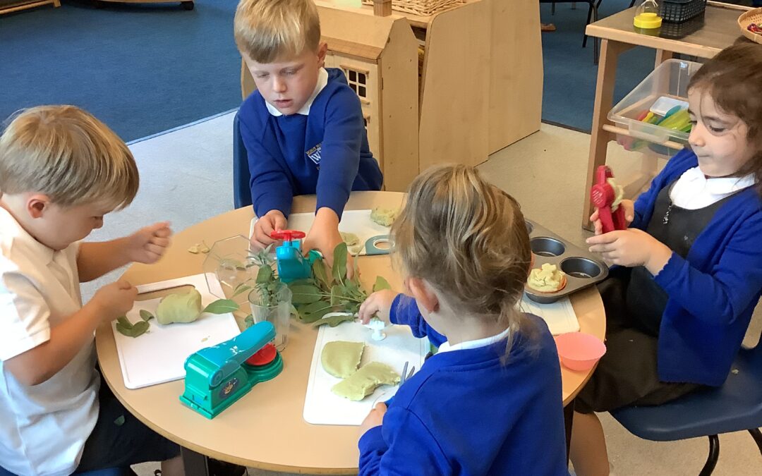 A fantastic start for the Dragonflies and Ladybirds!