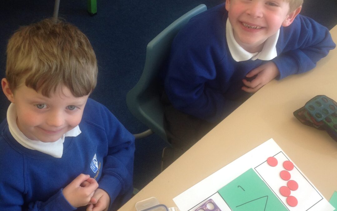 Marvellous Maths in Owls