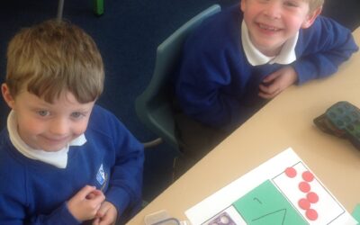 Marvellous Maths in Owls