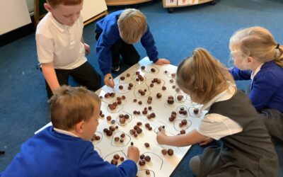 Super maths in Reception