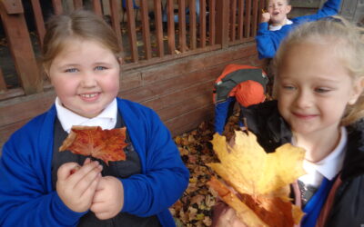 Year 2’s Autumnal Adventure
