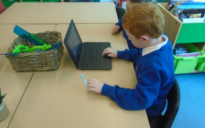Practising our basic skills in Robins