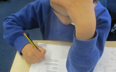 Fantastic Fractions!