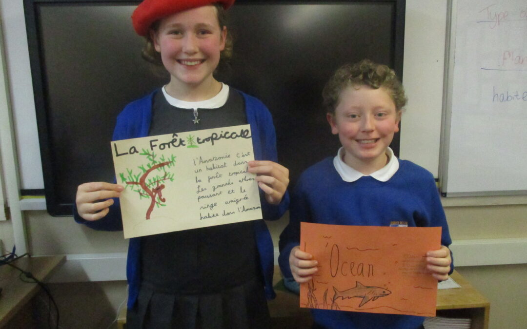 Les Habitats dans UKS2