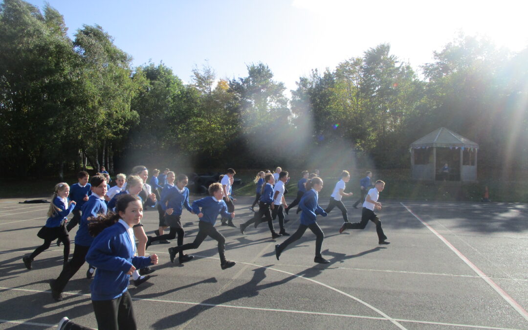 Exercise and Cognition Investigation