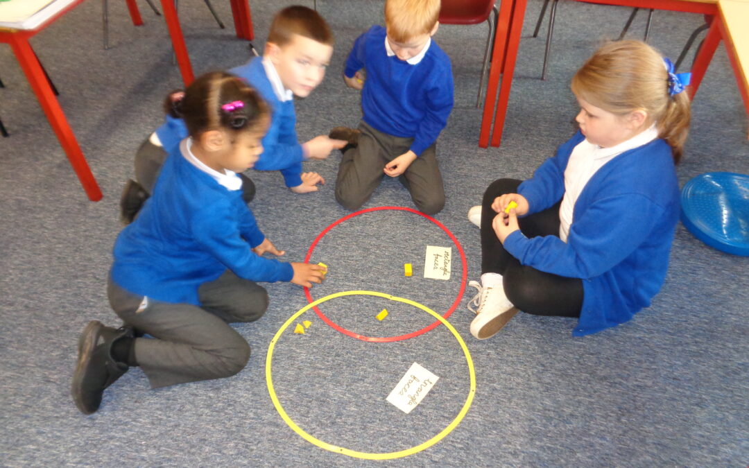 Shape Sorters in the Bees