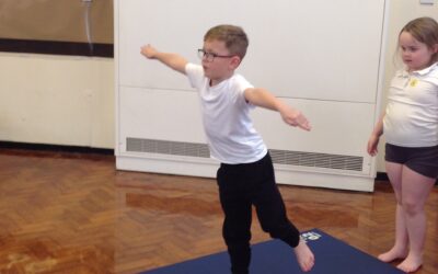 Owls put to test their jumping and balancing skills