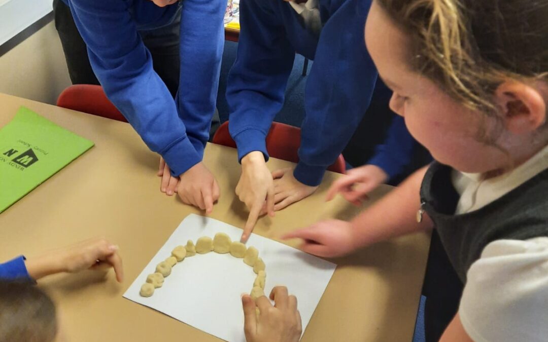 LKS2 Learn About Teeth