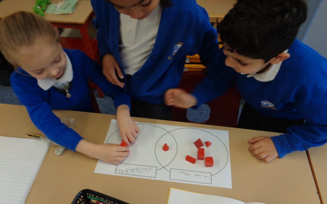 3D Shape Sorters in Bees