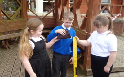 Eggciting Science in KS1!