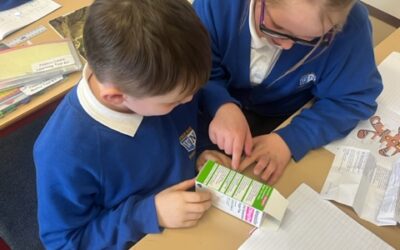 Medicine Safety in LKS2