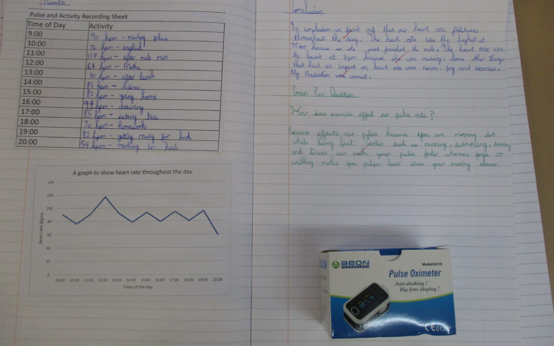 How does our heart rate change throughout the day?