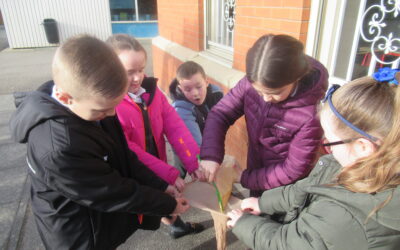 Making our own Digestive Systems in LKS2