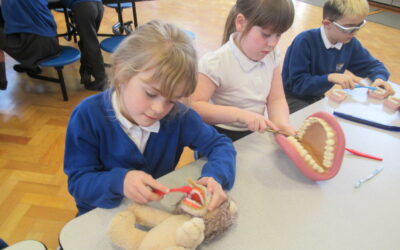 LKS2 Brush Up!