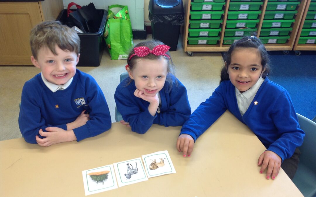 Forming Food Chains in KS1