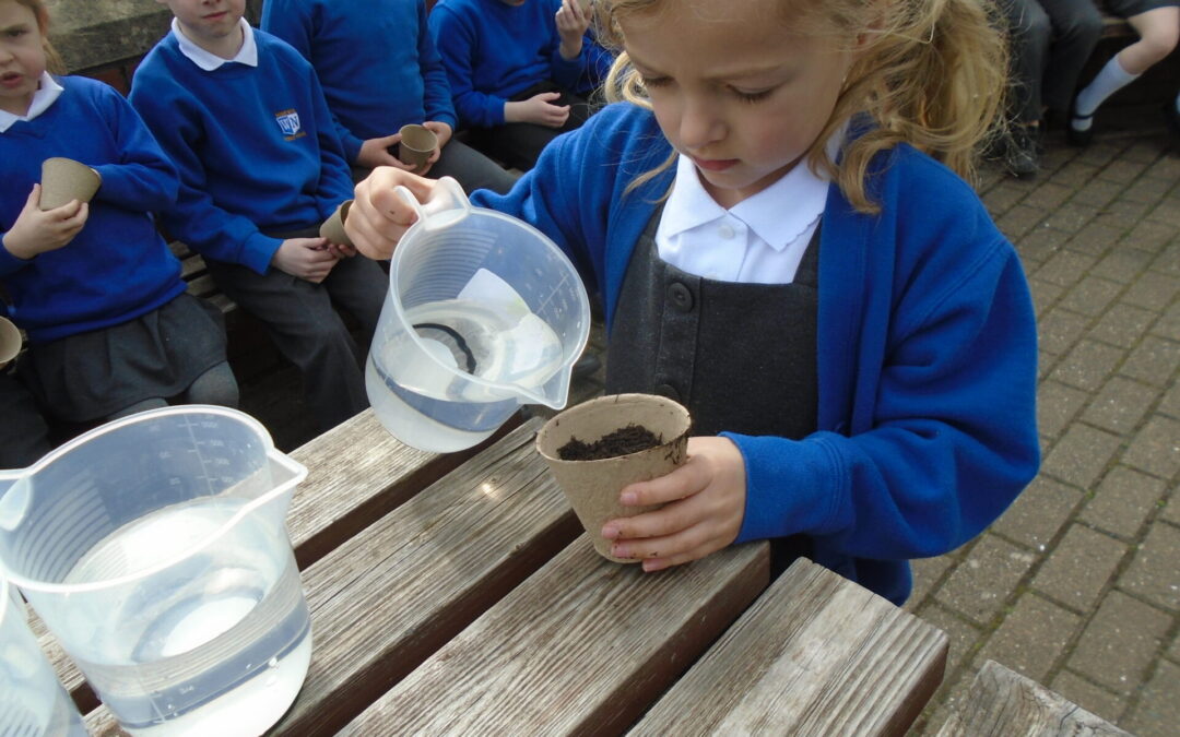 Planting in KS1