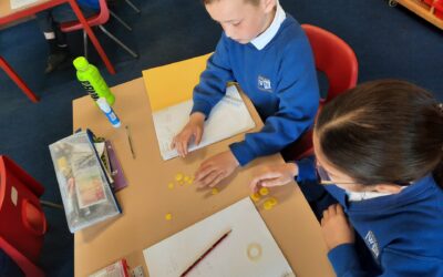 Fantastic Fractions