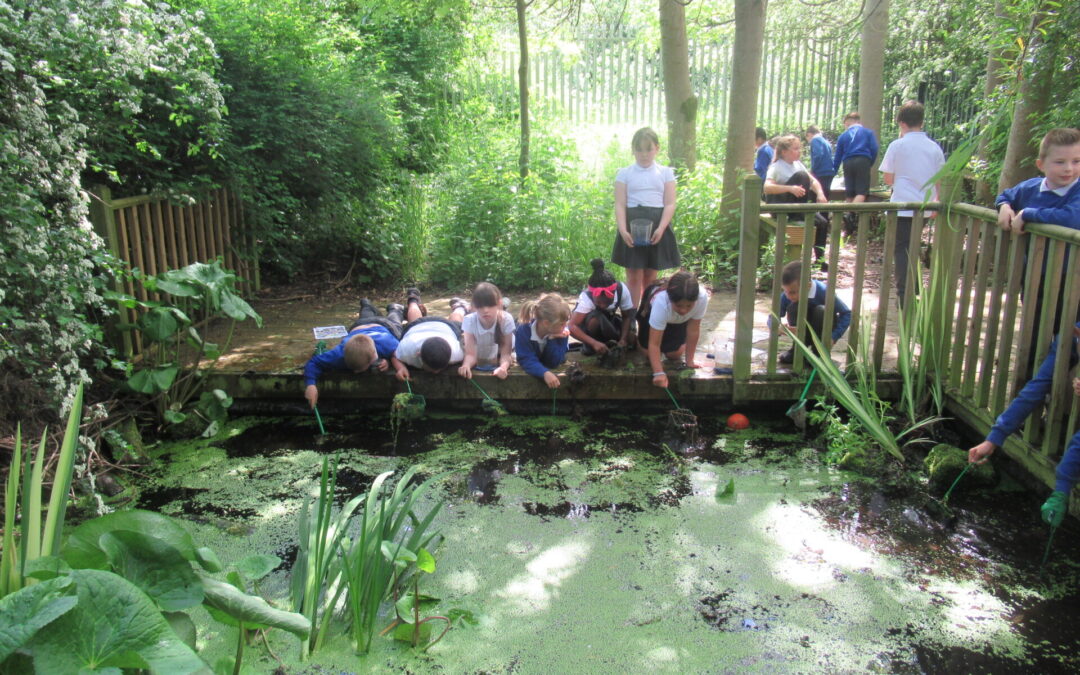 LKS2 Visit the Pond