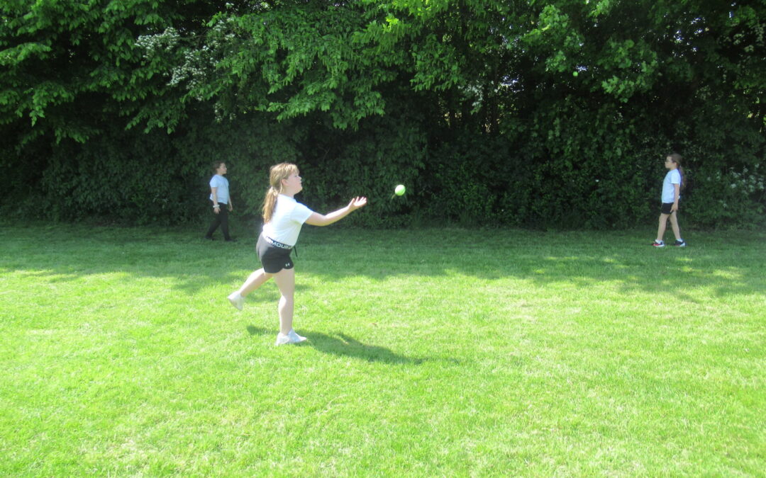Rounders!