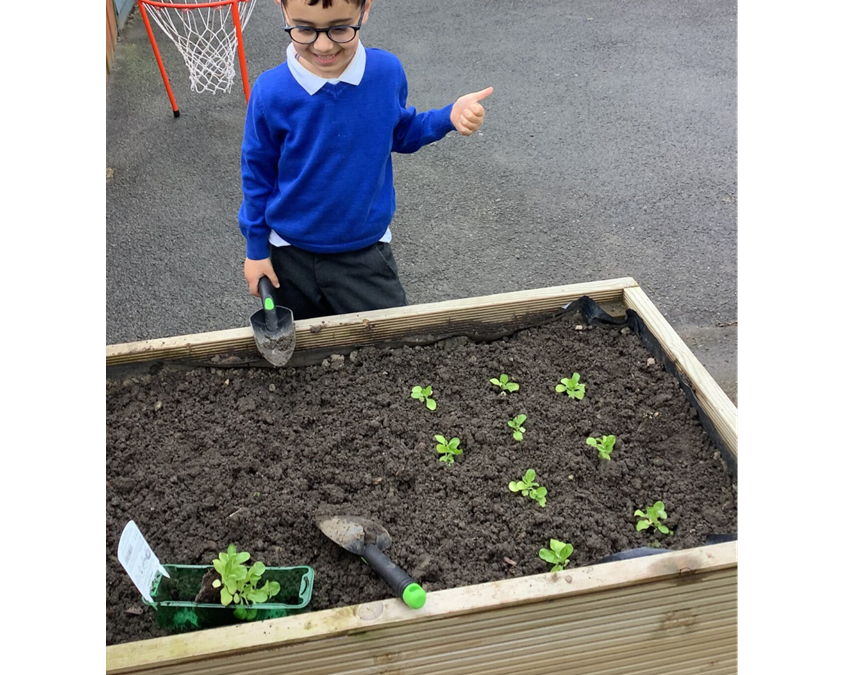 What grows in your garden?