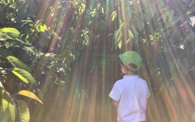 The sun has got his hat on!