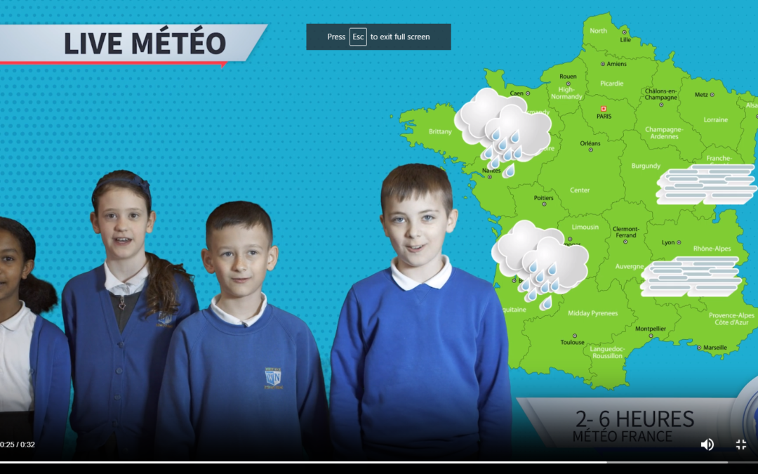 Final Forecasts in Year 5!