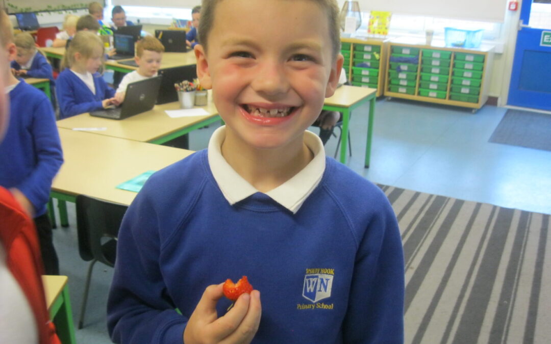 Gardening Club Rewards