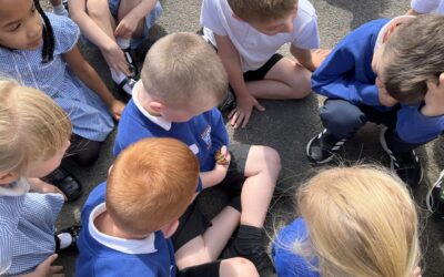 A goodbye to the butterflies!