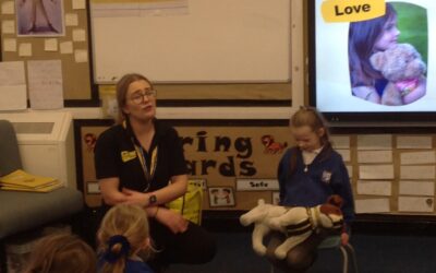 Staying Safe Around Dogs with Dogs Trust
