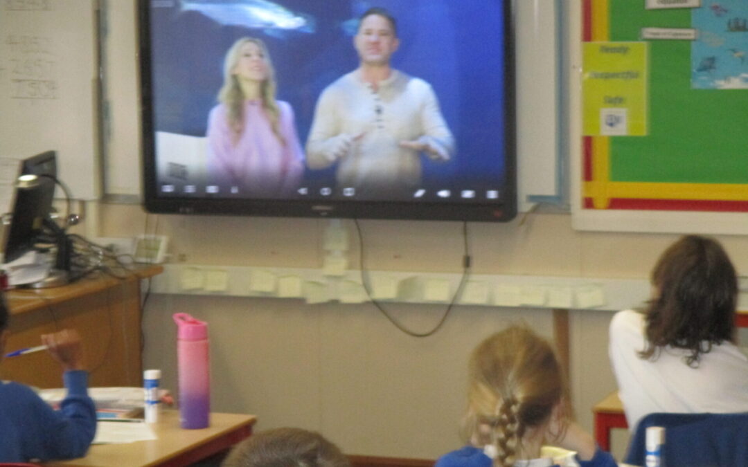 Shark Live Lesson
