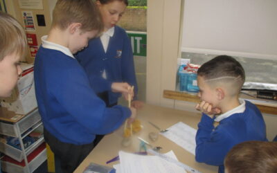 Beak Investigation in Years 5 and 6
