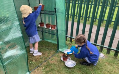 A New Greenhouse for Nursery!