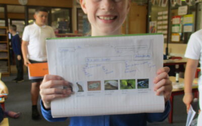 Identification Keys for Amazonian Animals in LKS2