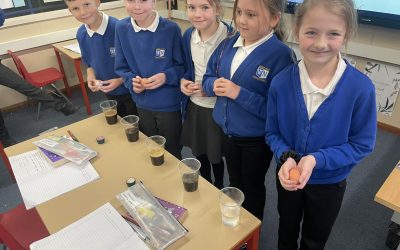 Investigating Teeth in LKS2