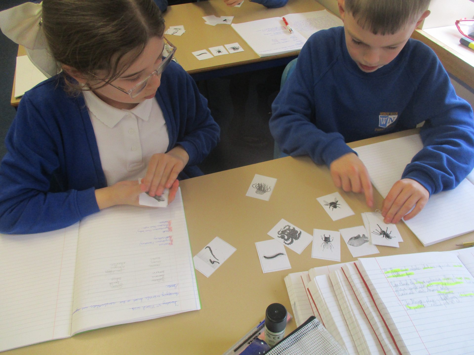 Classifying in Year 5 and 6 - Windy Nook Primary School