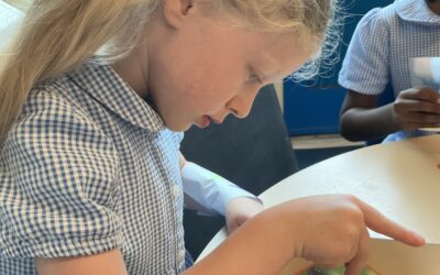Doubling Wings and Growing Things in the Reception Classes